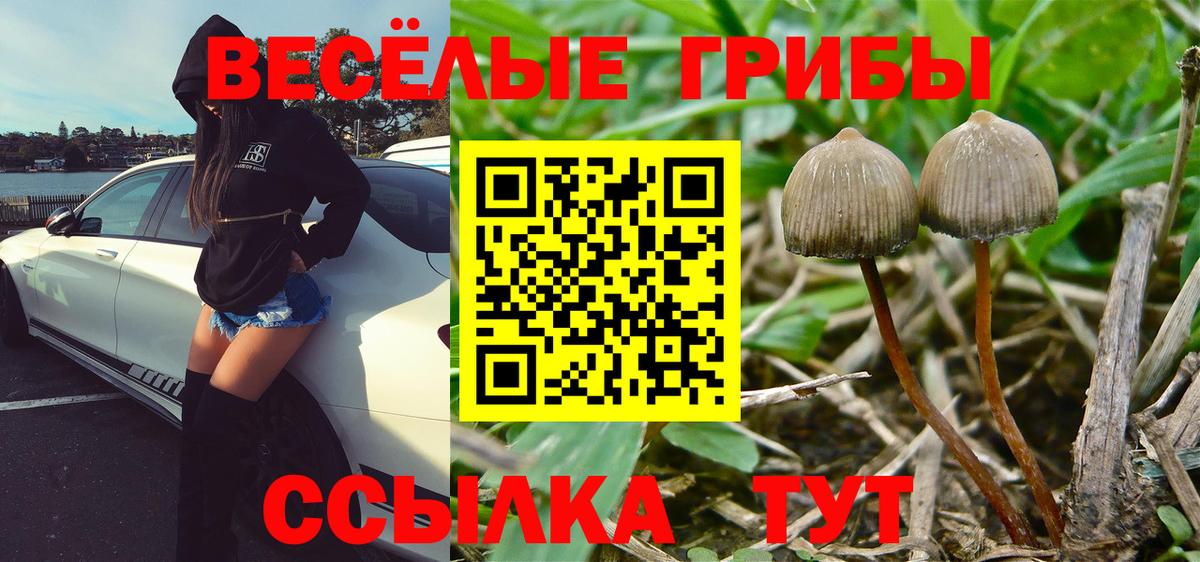 Нижневартовск  как найти   Вход с VPN  Галлюциногенные грибы мицелий  Галлюциногенные грибы ЛСД 